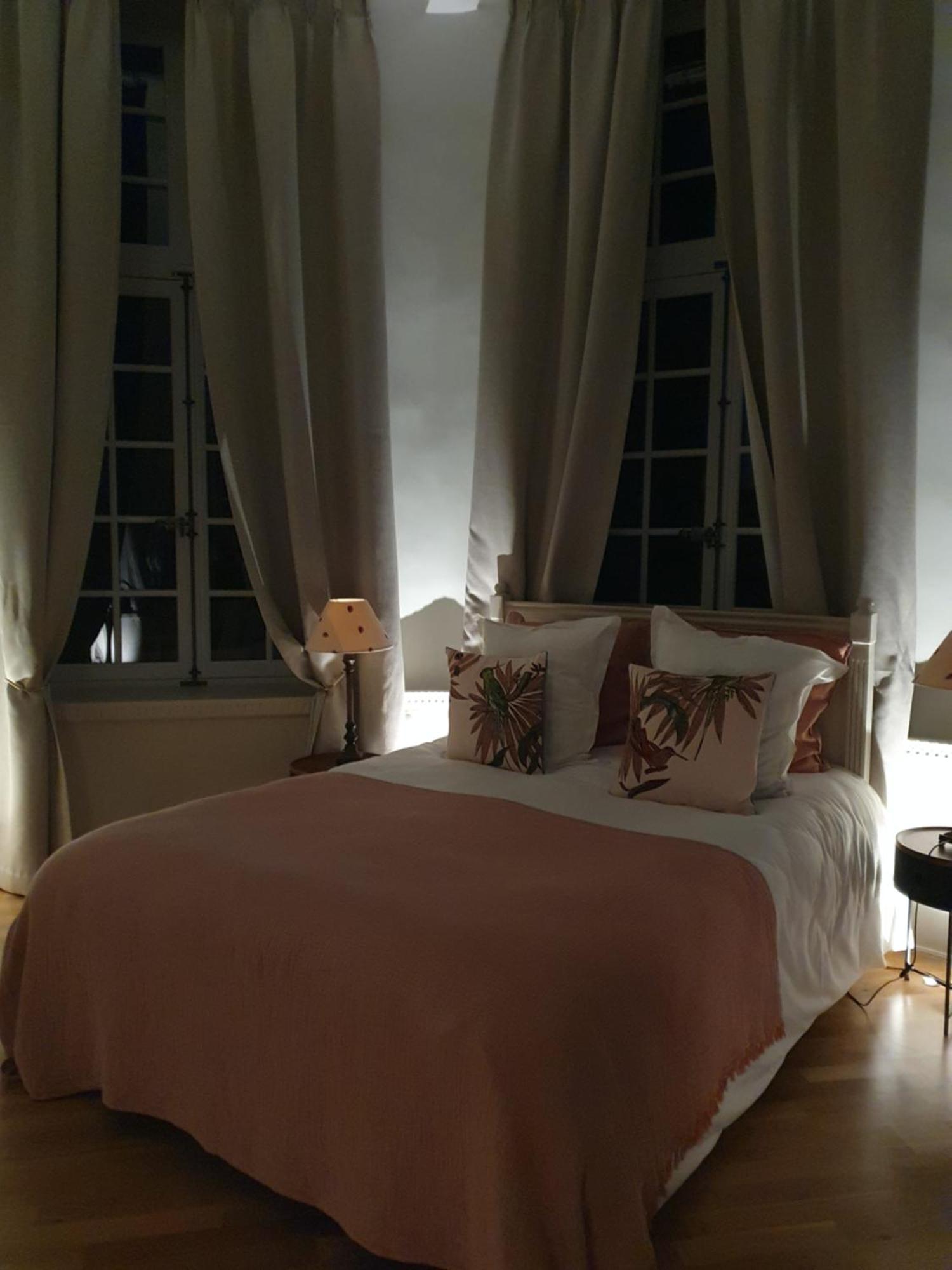 Chateau Du Bois De La Noe Bouaye Dış mekan fotoğraf