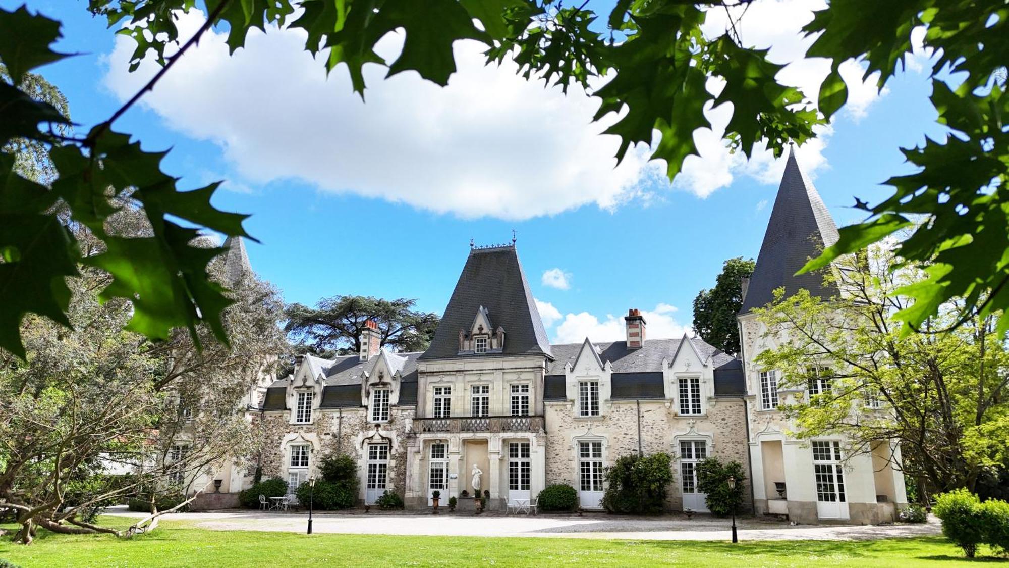 Chateau Du Bois De La Noe Bouaye Dış mekan fotoğraf