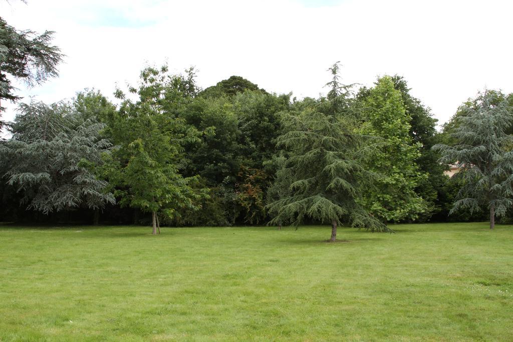 Chateau Du Bois De La Noe Bouaye Dış mekan fotoğraf