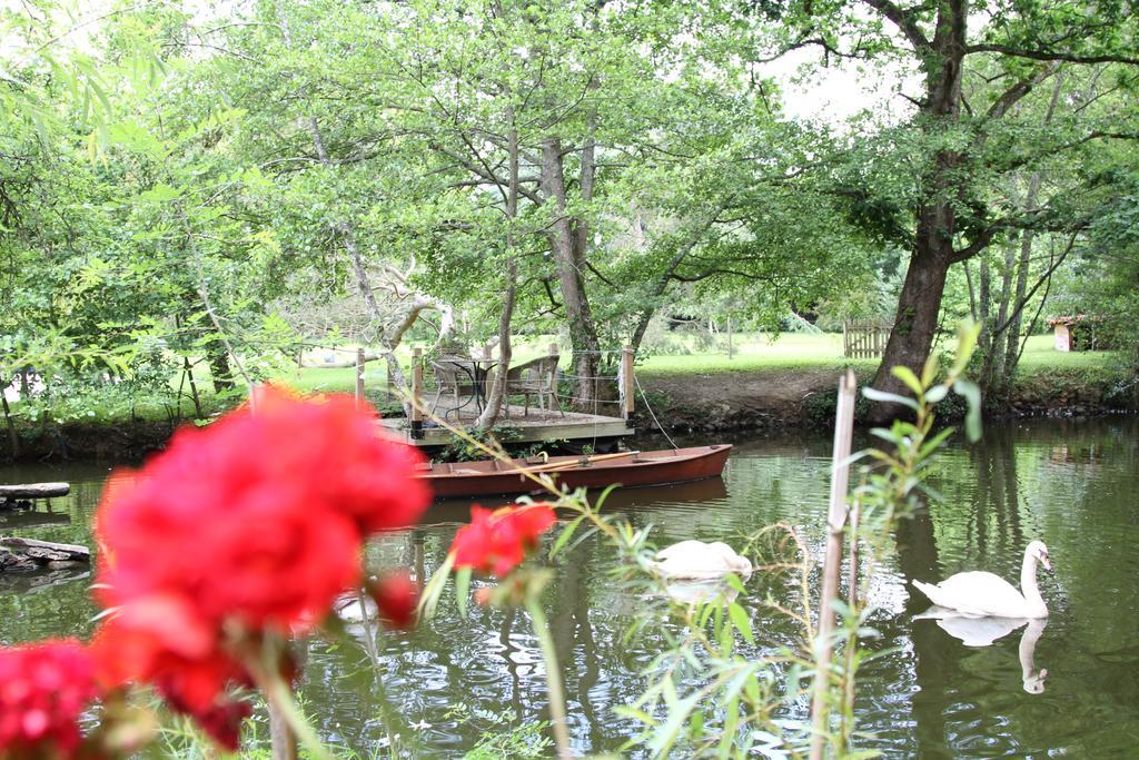 Chateau Du Bois De La Noe Bouaye Dış mekan fotoğraf