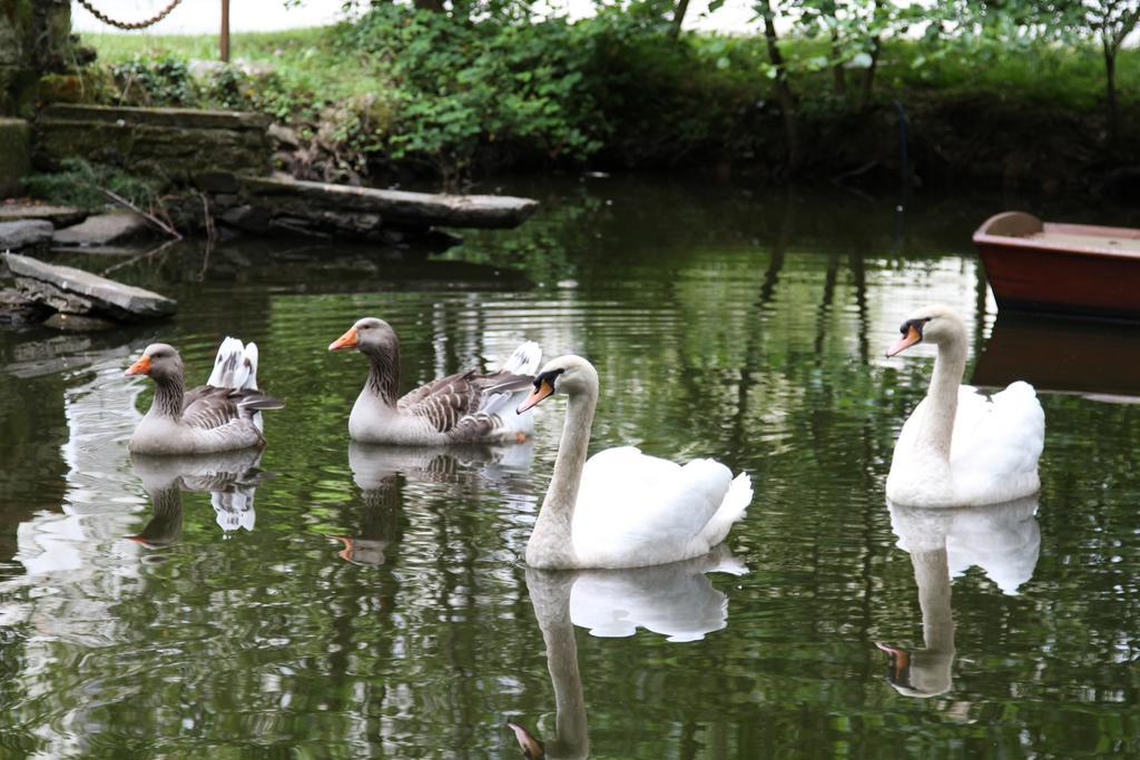 Chateau Du Bois De La Noe Bouaye Dış mekan fotoğraf