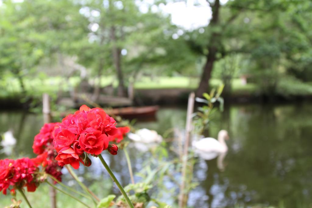 Chateau Du Bois De La Noe Bouaye Dış mekan fotoğraf